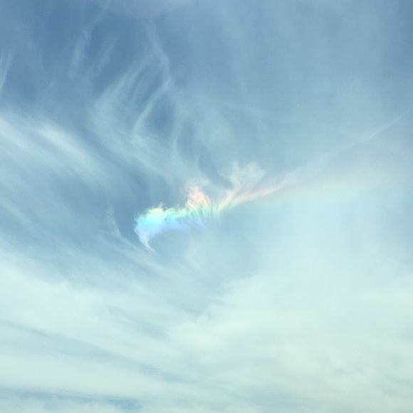 Meet your Posher, Tally - Picture 1 of 1